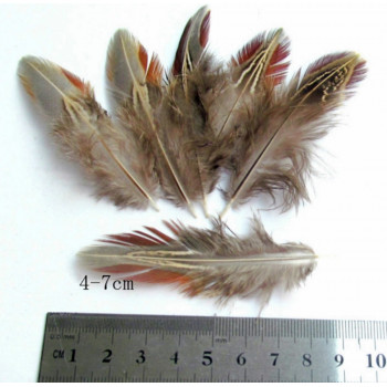 Перышки охотничьего фазана 4-8 см
