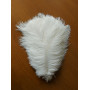 Перо страуса 40-45 см Белое