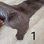 Кожа лапы страуса 1,0 мм Разные цвета
