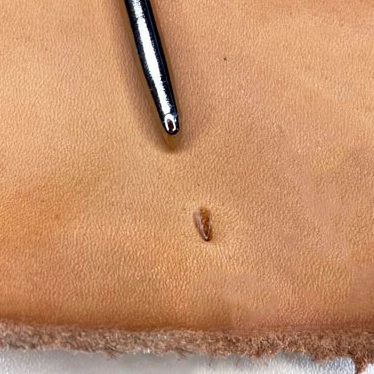 Штамп для тиснения по коже B 050 LS | Галерея фото | Pava.pro Штамп для тиснения по коже B 050 LS LS B050 - фото товара