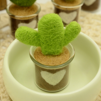 Набор для валяния Кактус | Галерея фото | Pava.pro Набор для валяния Кактус - фото товара