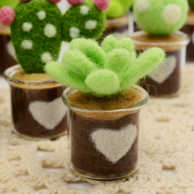 Набор для валяния Кактус в стеклянном горшочке | Галерея фото | Pava.pro Набор для валяния Кактус в стеклянном горшочке - фото товара