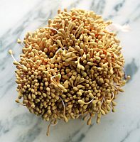 Тычинки для цветов матовые 2 мм 50 шт.  - купить для кожевенного хобби