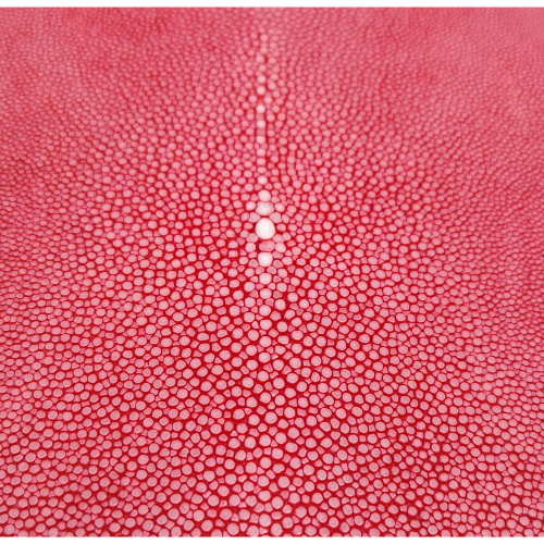 Кожа ската натуральная 10х30 см шлифованная фото 10