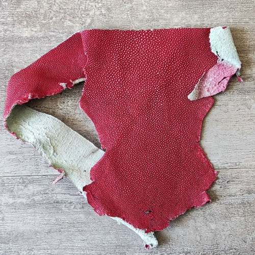 Кожа ската натуральная нижняя часть фото 7