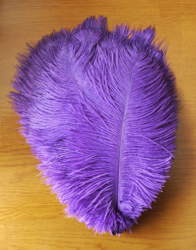 Перо страуса 20-25 см  фото 9