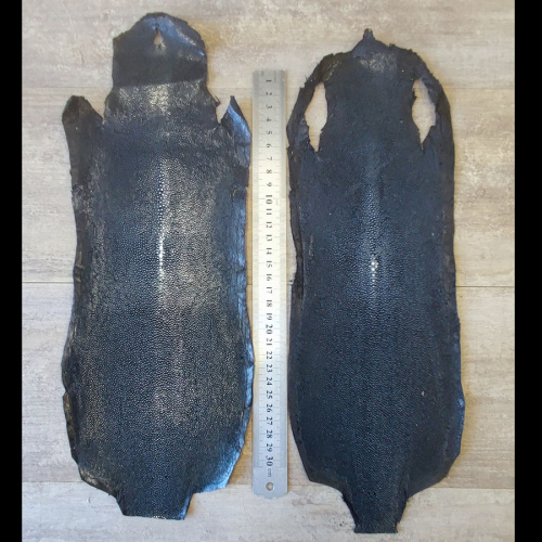 Кожа ската натуральная 10х30 см шлифованная фото 2