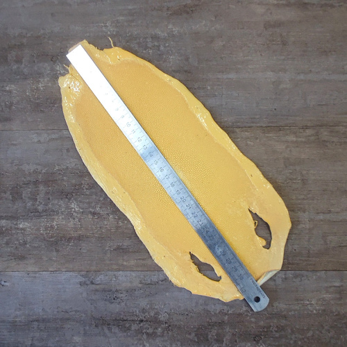 Кожа ската натуральная фактурная фото 2