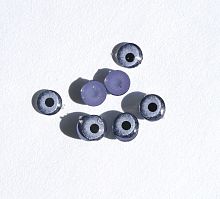 Глазки голубые приклеивающиеся для игрушек 6 мм 2 шт  - купить для кожевенного хобби