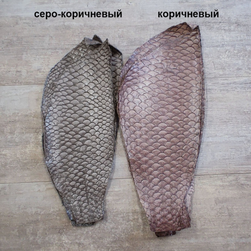 Кожа рыбы 0,7 мм Карп глянец фото 3