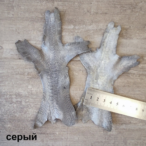 Кожа лапы индейки 1,0 мм фото 13