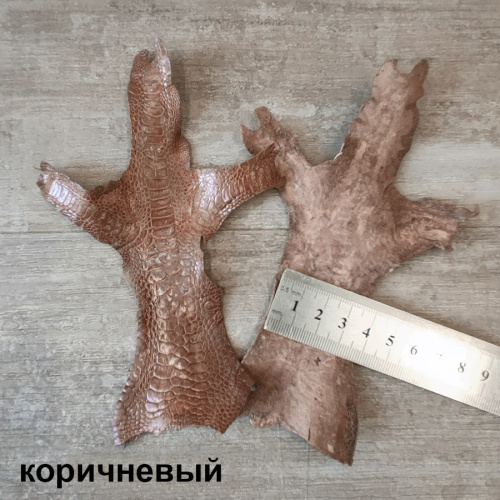 Кожа лапы индейки 1,0 мм фото 11