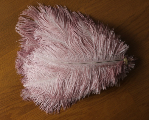 Перо страуса 20-25 см  фото 8