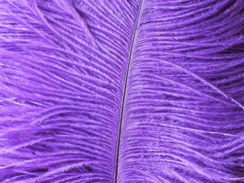 Перо страуса 15-20 см фото 6