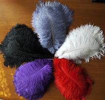 Перо страуса 25-30 см 