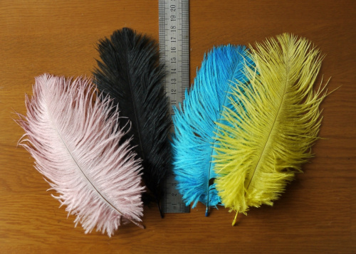 Перо страуса 15-20 см фото 7