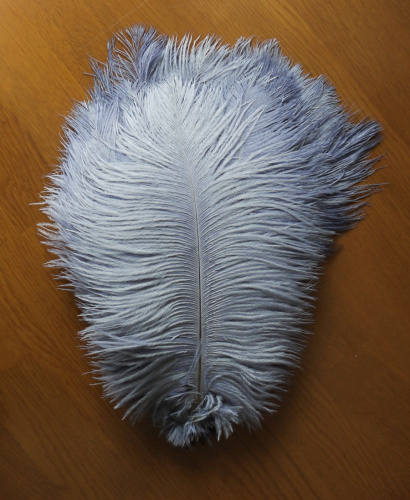 Перо страуса 20-25 см  фото 5