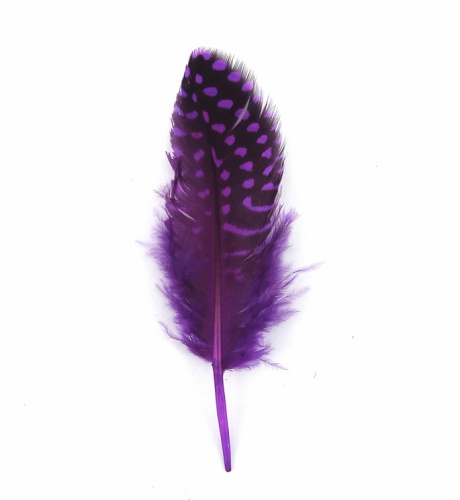 Перышки цесарки фото 7