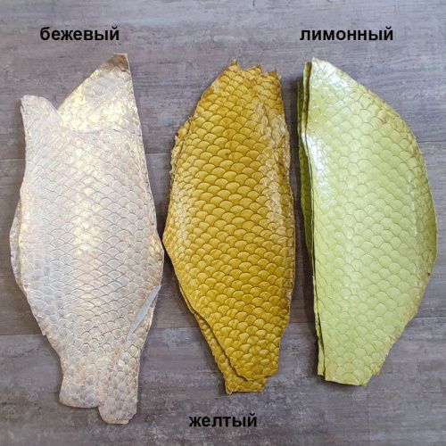 Кожа рыбы 0,7 мм Карп глянец фото 2