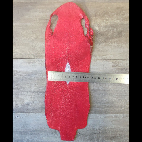 Кожа ската натуральная фактурная фото 20