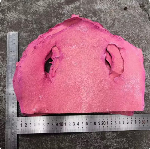 Кожа ската натуральная верхняя часть фото 9