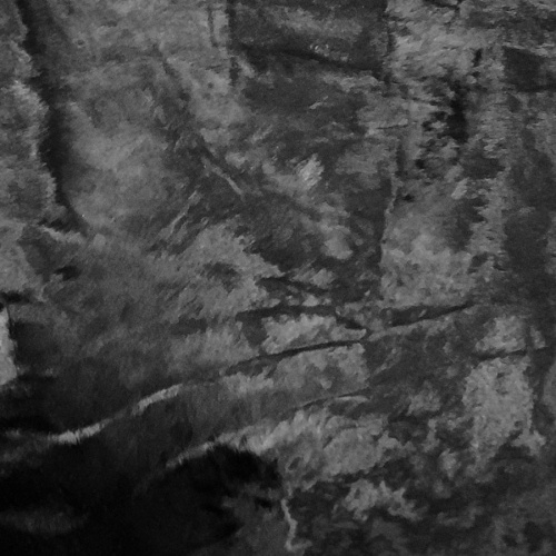 Кожа с ворсом КРС 1,2-1,4 мм Корова черная фото 5