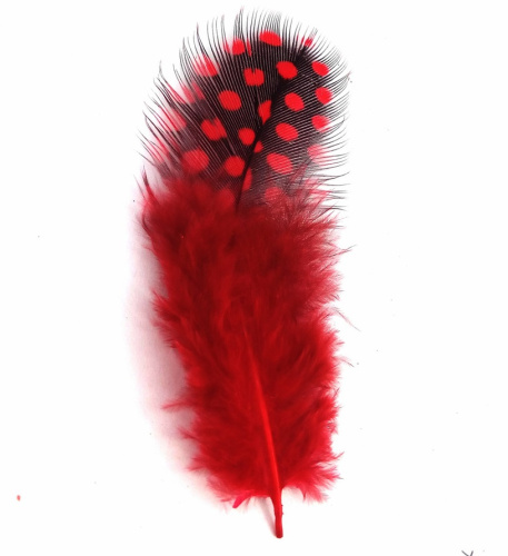 Перышки цесарки фото 8