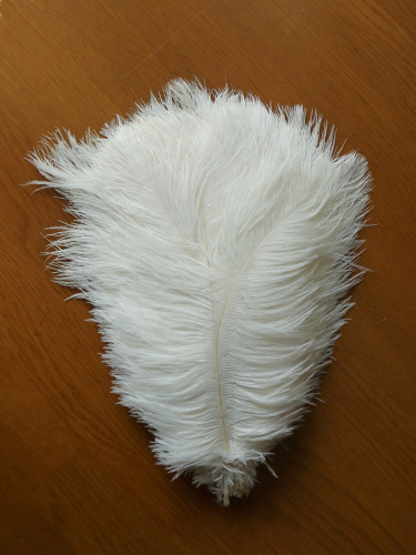 Перо страуса 20-25 см  фото 16