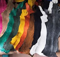 Кожа лапы страуса 1,0 мм 60х12