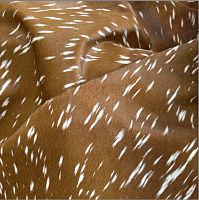 Кожа с ворсом КРС 1,6-2,0 мм Олень