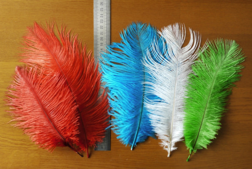 Перо страуса 20-25 см  фото 10