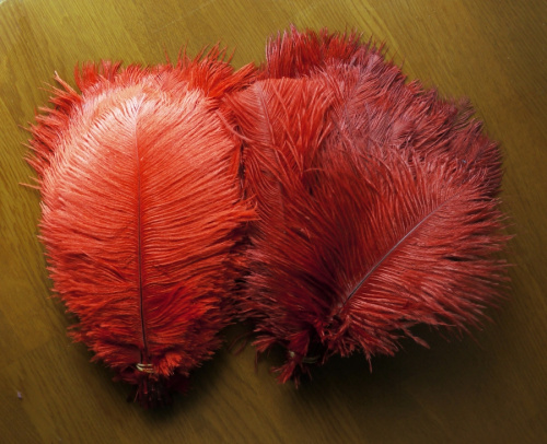 Перо страуса 20-25 см  фото 3