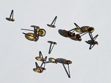 Глазки-гвоздики коричневые стеклянные для игрушек 2шт