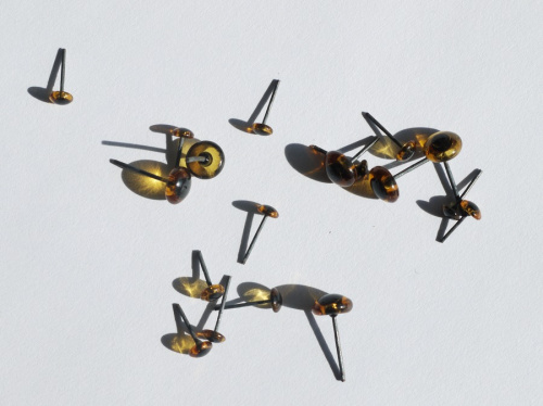 Глазки-гвоздики коричневые стеклянные для игрушек 2шт Глазки-гвоздики коричневые стеклянные для игрушек 2шт