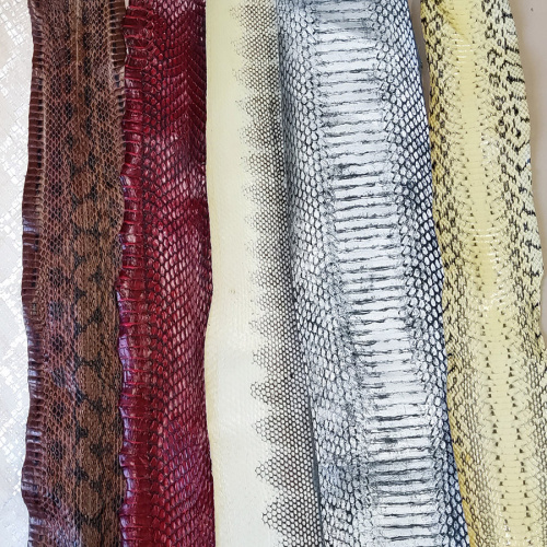 Кожа змей Разные цвета фото 2