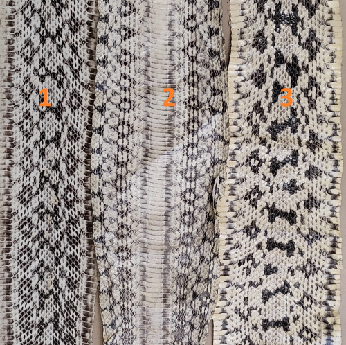 Кожа змеи 0,3 мм натуральный Кожа змеи 0,3 мм натуральный