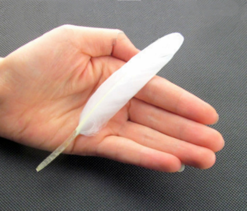 Перо утиное 7-15 см 10 шт фото 2