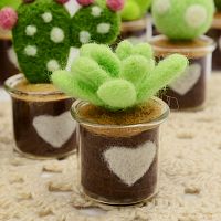 Набор для валяния Кактус в стеклянном горшочке  - купить для кожевенного хобби