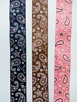 Лента репсовая 25 мм принт Пейсли