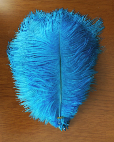 Перо страуса 20-25 см  фото 14
