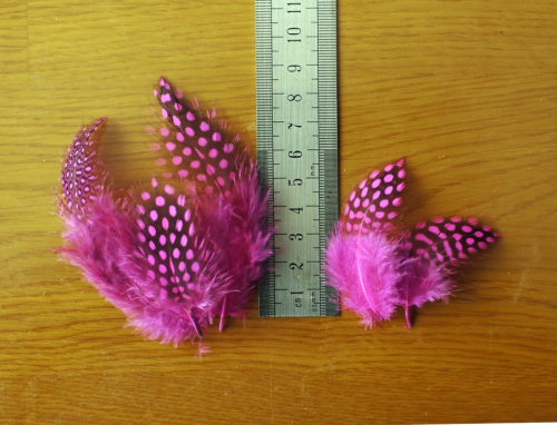 Перышки цесарки фото 4