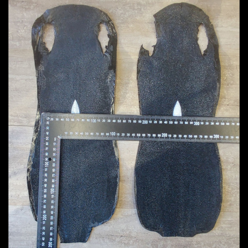 Кожа ската натуральная фактурная фото 22