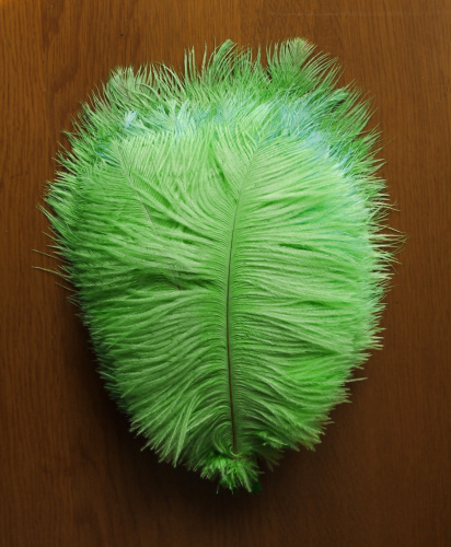 Перо страуса 20-25 см  фото 6