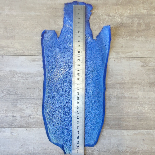 Кожа ската натуральная 10х30 см шлифованная фото 3