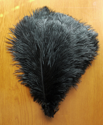 Перо страуса 20-25 см  фото 13