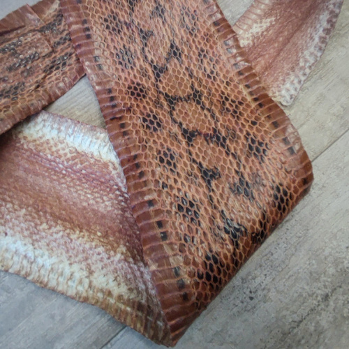 Кожа змей Разные цвета фото 8
