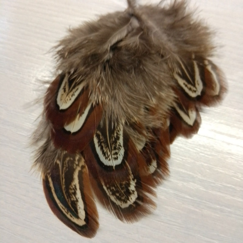 Перо фазана 4-7 см   - фото товара