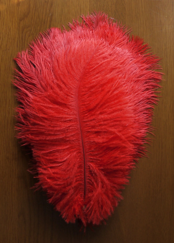 Перо страуса 20-25 см  фото 12