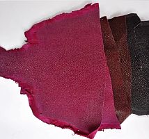 Кожа ската натуральная нижняя часть