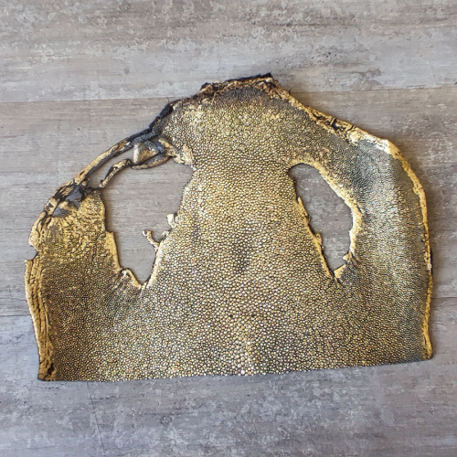 Кожа ската натуральная верхняя часть фото 6